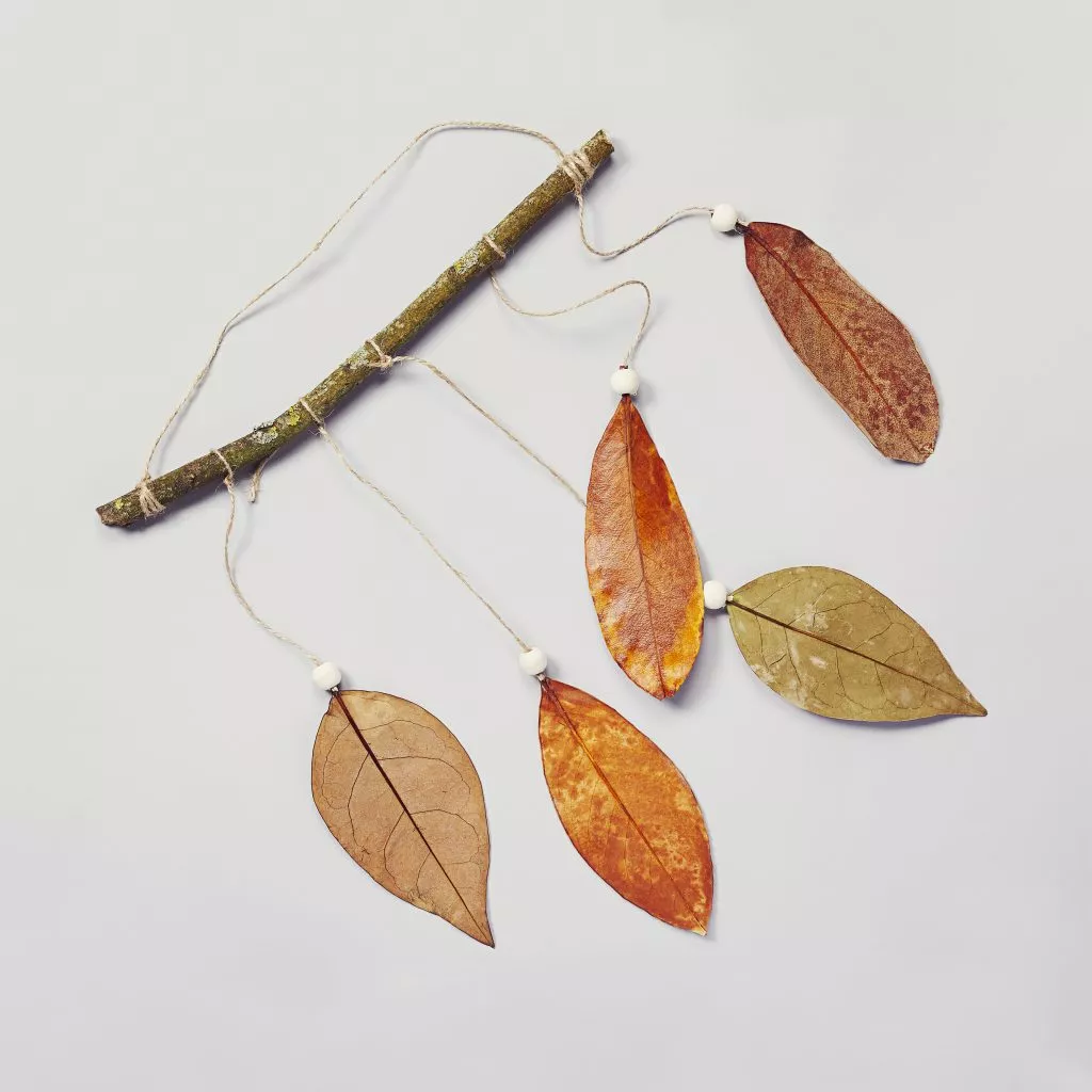 Une suspension de feuilles d’automne