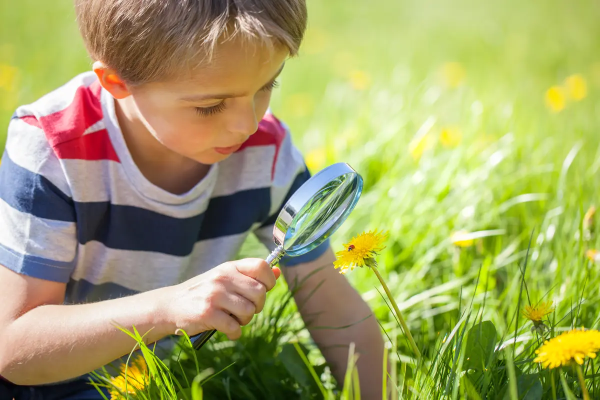 Éveil à la nature &amp; sensibilisation à l’environnement